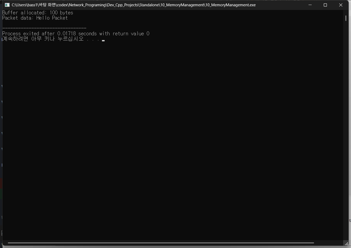 10_MemoryManagement의 실제 Dev-C++ 실행 결과